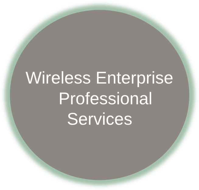 Wireless Enterprise Professiona (1) Wireless Enterprise Professiona (1)
